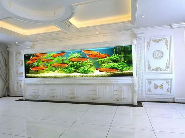 实木大型鱼缸