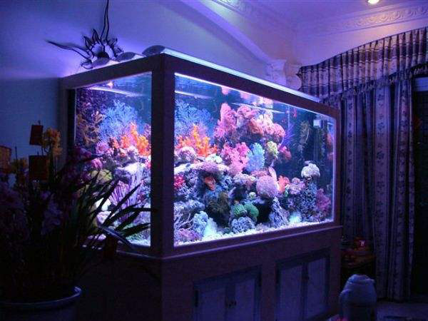 大理石包边鱼缸